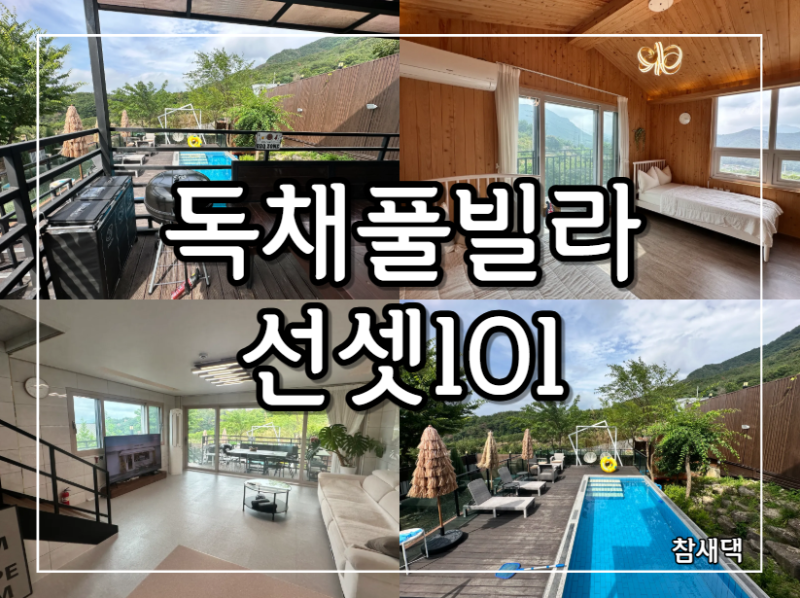 청도 독채풀빌라 선셋101, 청도 애견동반펜션에서 강아지 쿠로와 함께한 1박 여행!