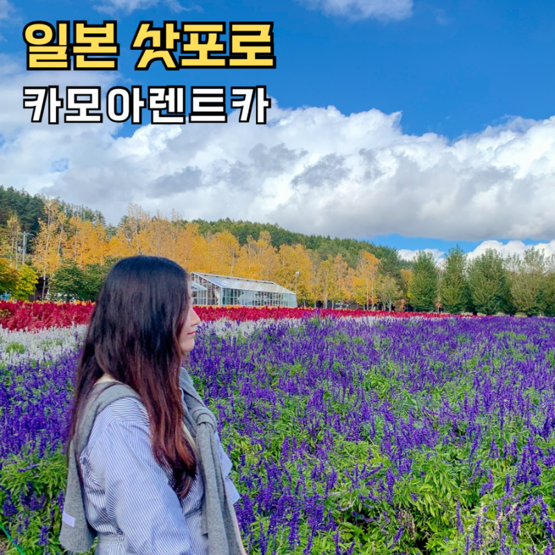 홋카이도 여행을 계획한다면? 삿포로 렌트카 자유여행 렌터카 코스