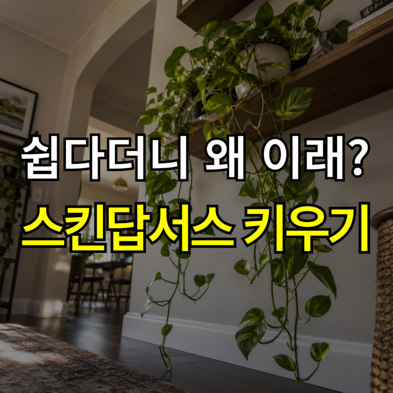 “초보도 키우기 쉽다는데?” 스킨답서스 키우기, 수경 번식과 관리법
