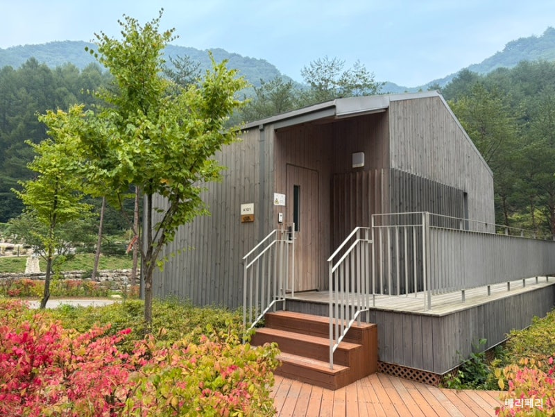 인제 갯골자연휴양림 숲집 101호 청정자연 만끽!