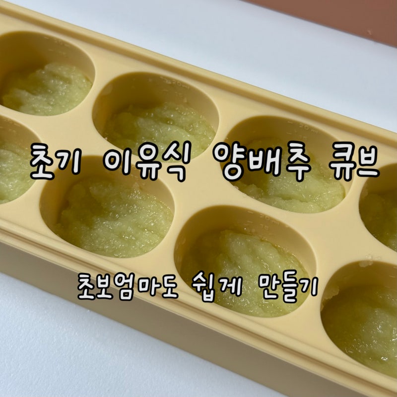 초기 이유식 양배추 큐브 만들기