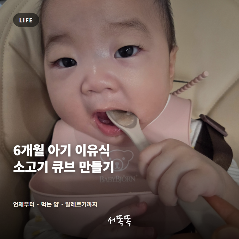 6개월 아기 이유식 소고기 언제부터? 소고기 큐브 만들기부터 먹는 양·알레르기까지