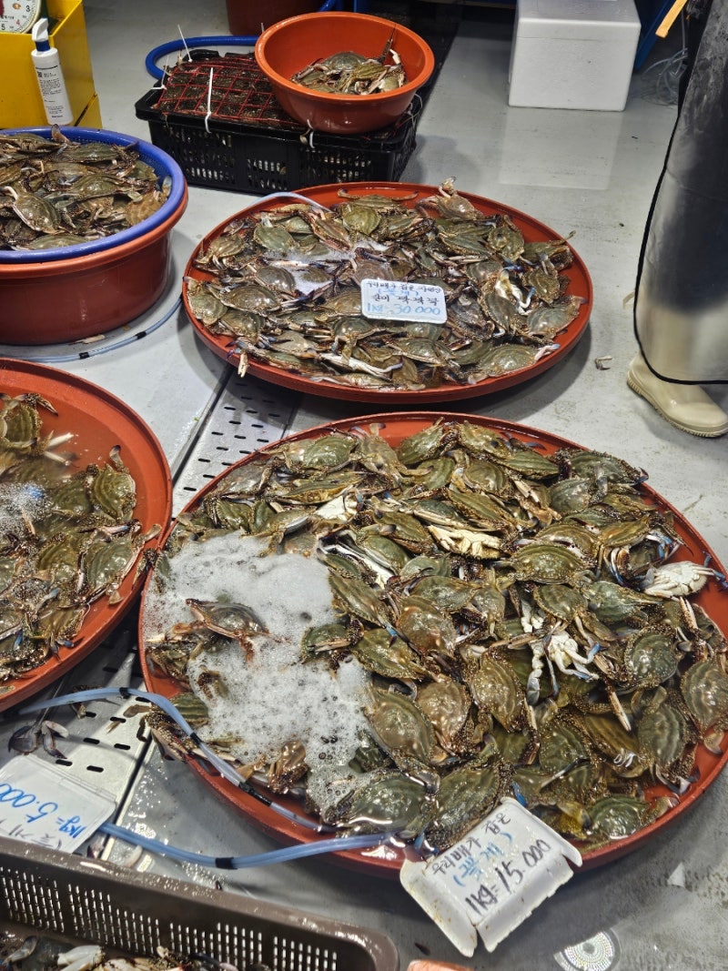 김포 대명항에서 꽃게 어디서 사야하지?! 꽃게 포장해서 집에서 쪄먹은 후기