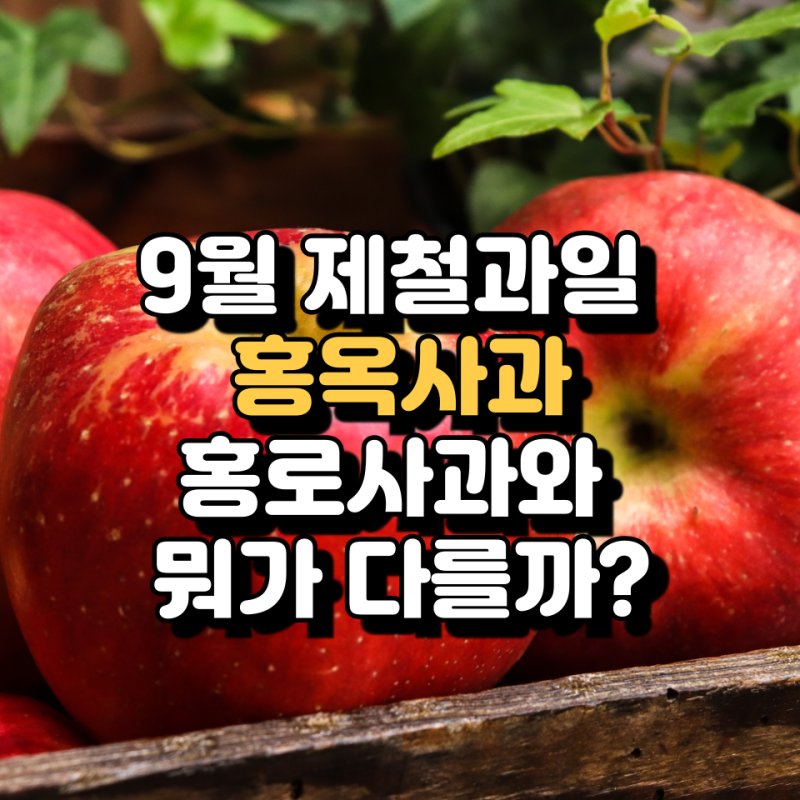 9월 제철과일 홍옥사과, 맛 수확시기 생산지 총정리, 홍로사과와 뭐가 다를까?
