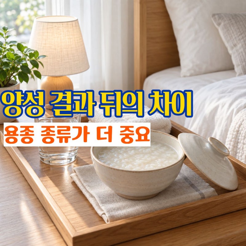 위용종 원인 암의 씨앗이라 불리는 위 용종 암 가능성과 양성 위용종제거