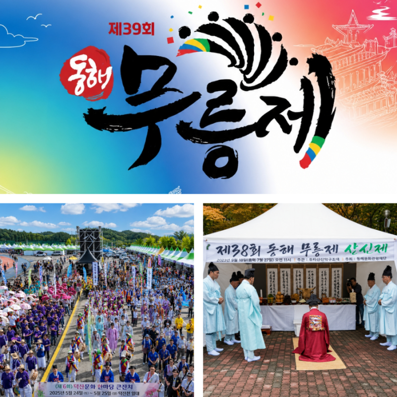 장민호 노라조가 온다! 2026 동해무릉제 역대급 라인업 가볼만한곳 총정리