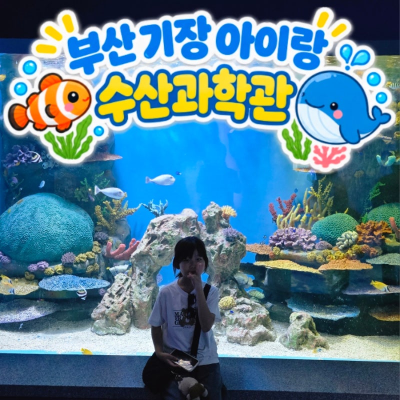부산 기장 아이랑 가볼만한곳 국립수산과학원 수산과학관