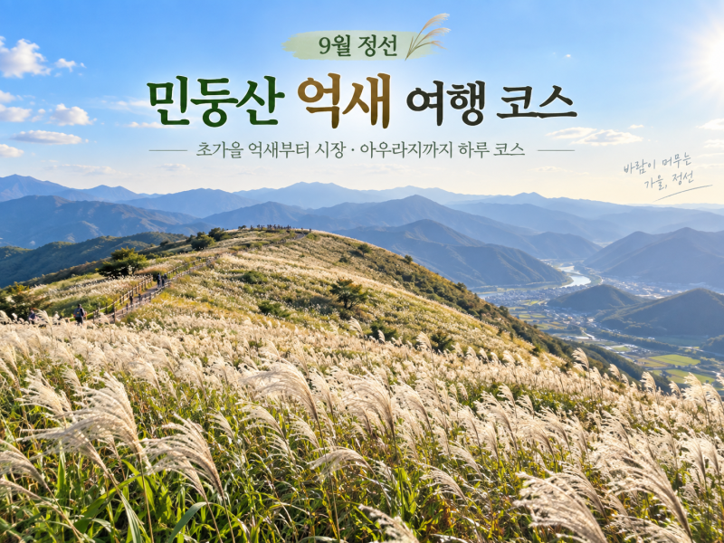 [정선 여행] 9월 정선 민둥산 억새부터 정선시장·아우라지까지 가을 하루 여행