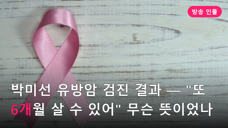 박미선 유방암 검진 결과 — "또 6개월 살 수 있어" 무슨 뜻이었나