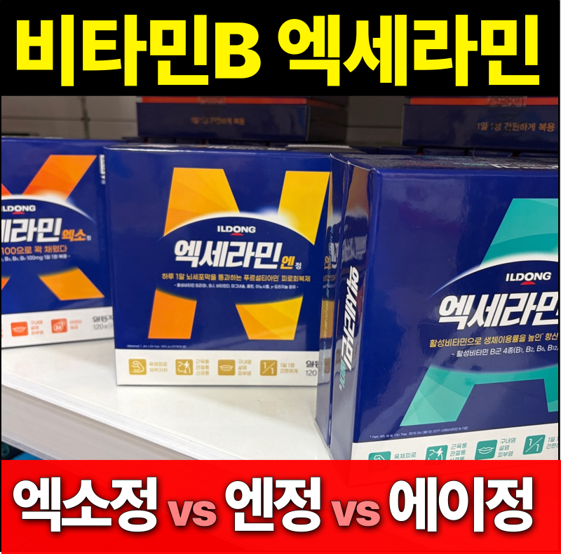 약국 고함량 피로회복 비타민 엑세라민 성분 면역력 효능 엑소 에이 엔 정리