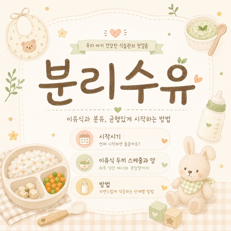 분리수유 실패? 시작시기부터 이유식 두 끼 스케줄과 양, 방법