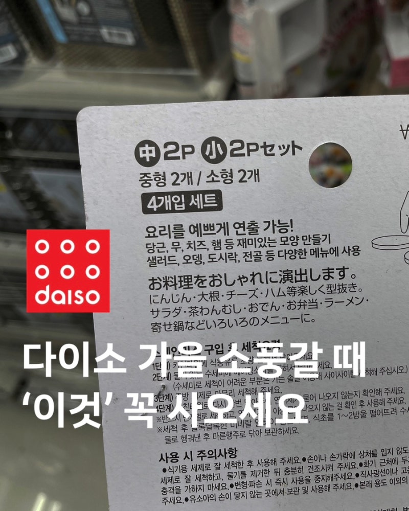 소풍 도시락 준비한다면 다이소 '이것' 꼭 담아오세요
