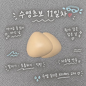 수영초보 11일차 가성비 다이소 실리콘브라패드 교체 후기