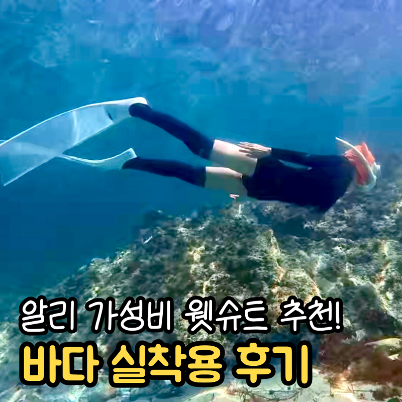 알리 가성비 웻슈트 니삭스 스프링슈트 추천 프리다이빙 실착용 후기
