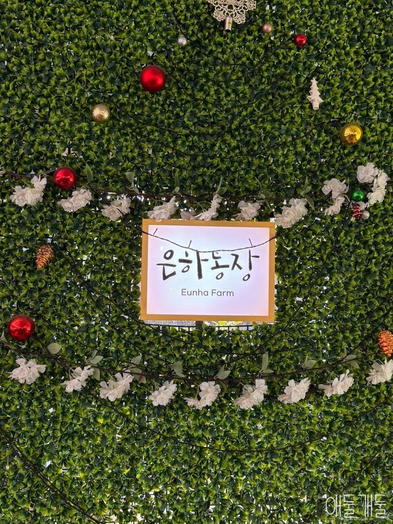 용인 아이와 가볼만한곳 은하농장 표고버섯 수확 피자만들기 체험