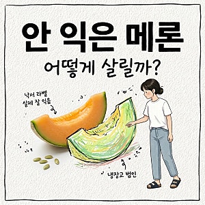 메론 후숙, 머스크메론, 보관법, 자른 뒤, 껍질 버리기