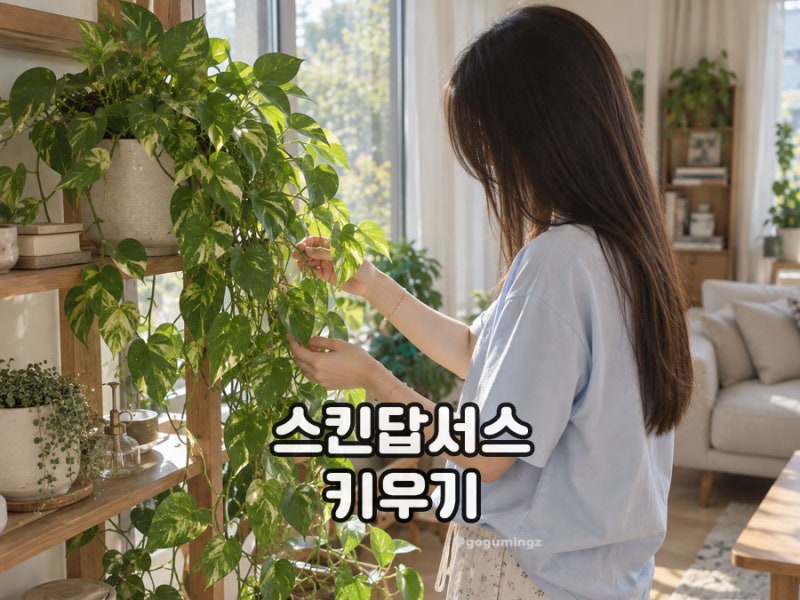 스킨답서스 키우기 삽목 번식 수경재배 물주기 방법