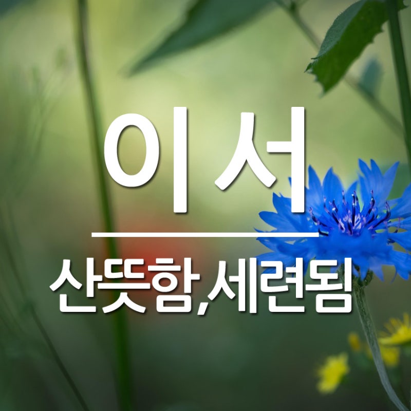 이서 이름 뜻과 한자, 인기 순위｜여자 이름 최상위권과 맑고 세련된 이미지(2026년 분석)