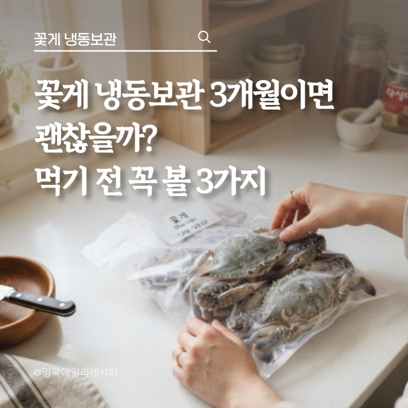 꽃게 냉동보관 유통기한, 냉동실 3개월 지나기 전 확인할 기준