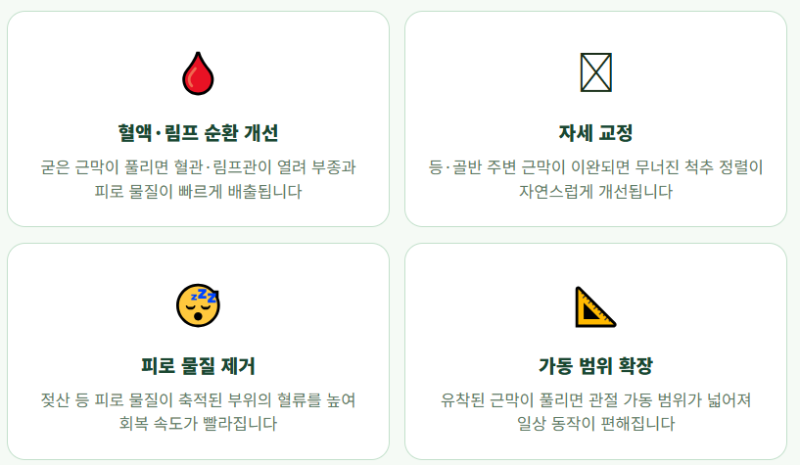 하루 종일 의자에 앉아 있는 분들이라면 꼭 알아야 할 —폼롤러 사용법