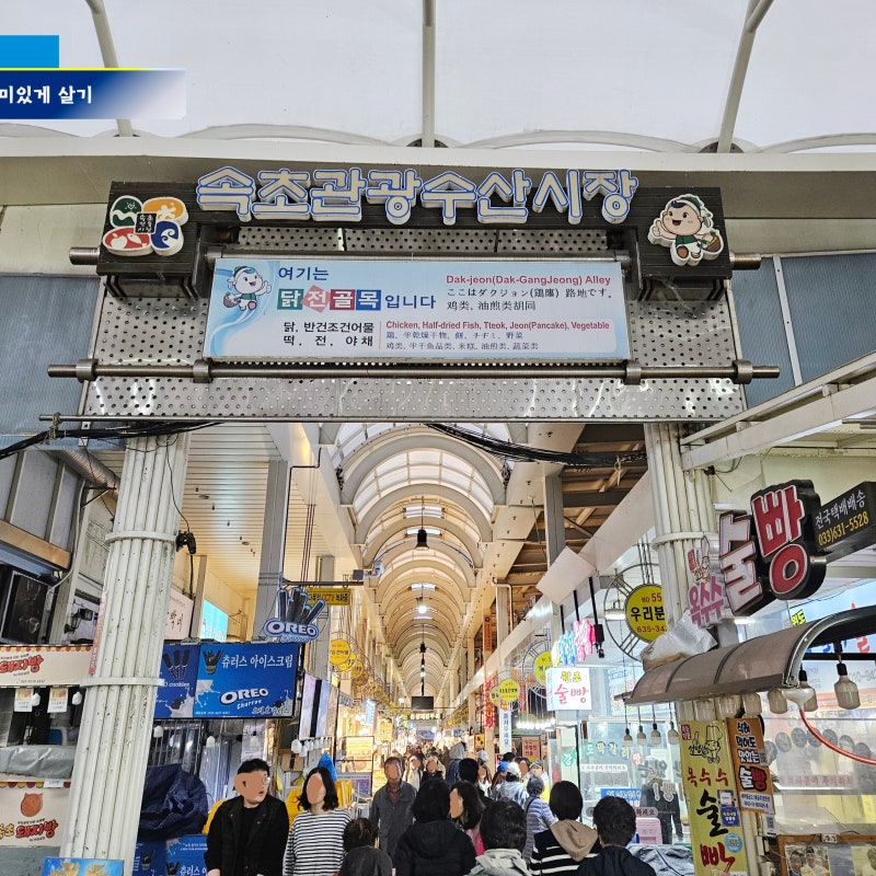 Sokcho Jungang Market Food and Parking Information: Sulppang, Manseok Dakgangjeong, Sokcho Beer Prices, and More