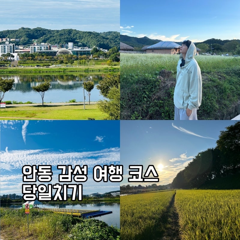 안동 오후 당일치기 여행 코스｜찜닭골목부터 하회마을 선유줄불놀이까지