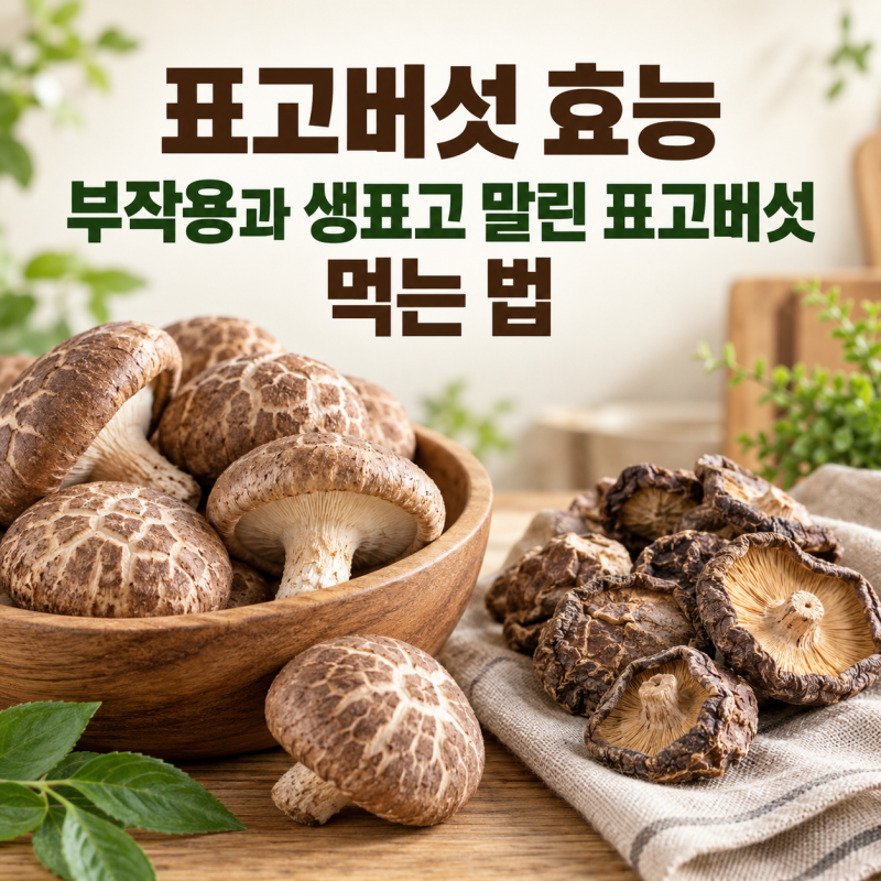표고버섯효능 부작용과 생표고 말린 표고버섯 먹는 법