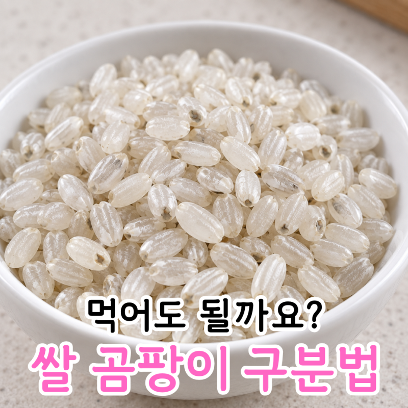 쌀 곰팡이 구분법, 씻으면 먹어도 될까?