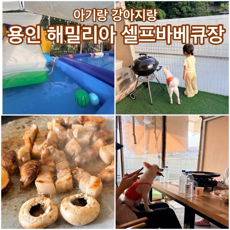 [경기 근교] 용인 해밀리아 셀프바베큐장｜아기·강아지와 물놀이 가능한 곳!
