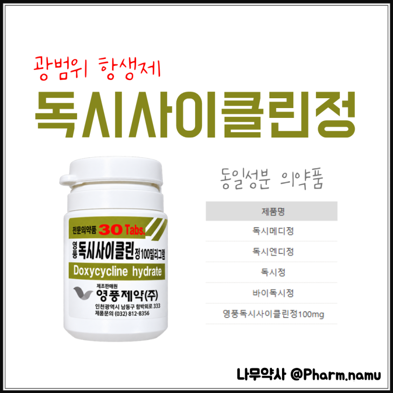 영풍독시사이클린정