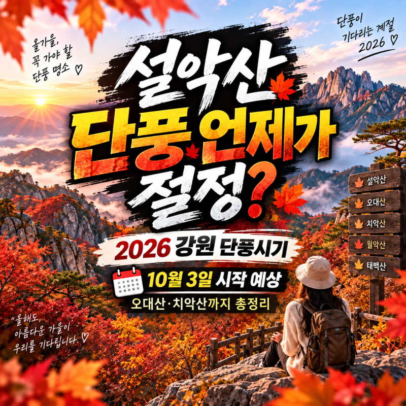 “설악산 단풍 언제가 절정?” 2026 강원 단풍시기｜10월 3일 시작 예상, 오대산·치악산까지 ....