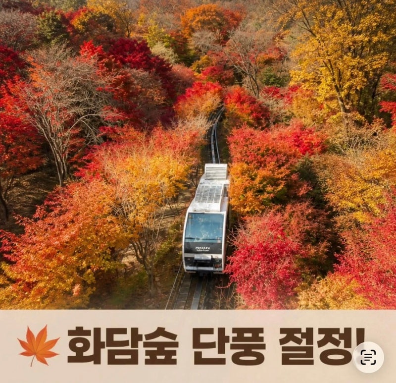 화담숲 예약 단풍시기와 모노레일 예약방법 완전정리