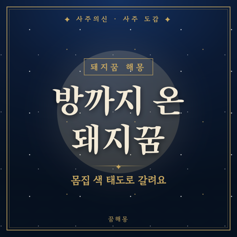 돼지꿈 해몽, 눈 뜨자마자 기분이 좋아진 아침에 찾는 풀이