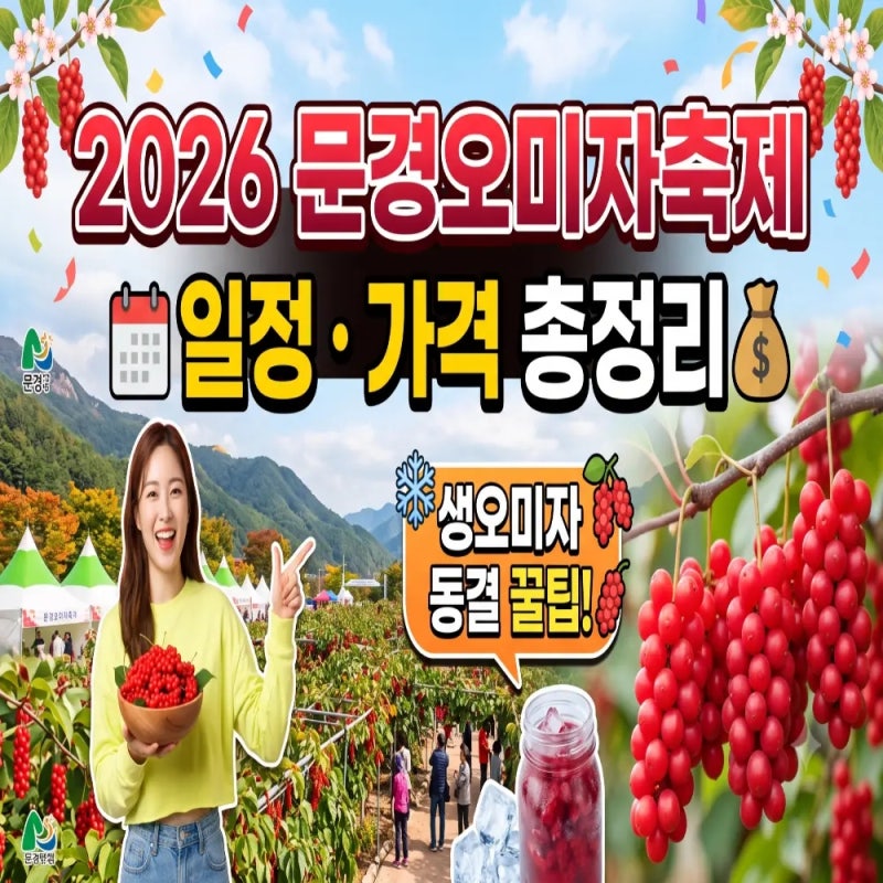 2026 문경오미자축제 일정 가격 체험 프로그램 총정리
