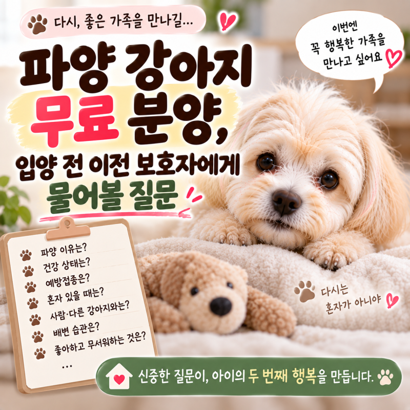 파양 강아지 무료 분양, 입양 전 이전 보호자에게 물어볼 질문