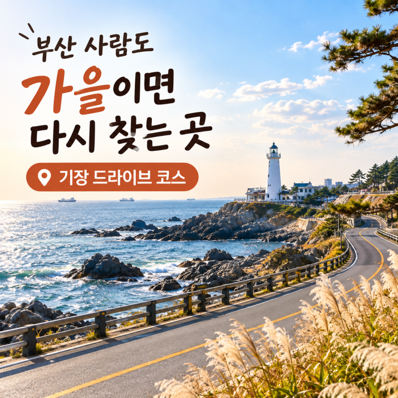 부산 사람도 가을이면 다시 찾는 곳｜기장 드라이브 코스 하루 일정