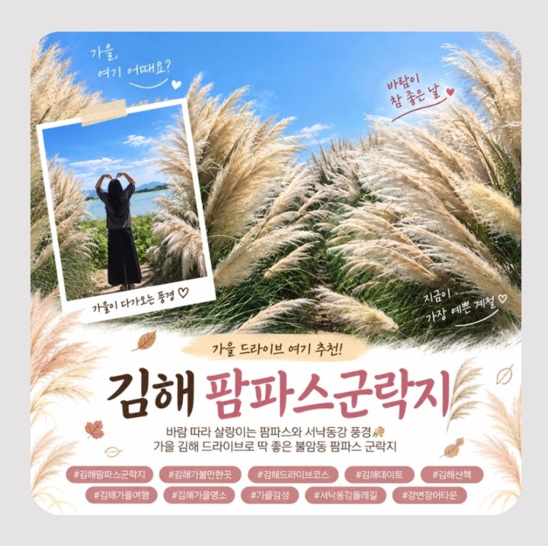 김해 가볼만한곳 불암동 팜파스 군락지, 서낙동강 가을 드라이브 코스