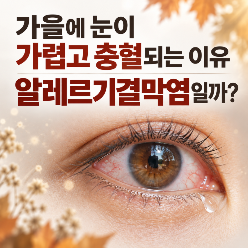 [가을에 눈이 가렵고 충혈되는 이유]️알레르기결막염일까?
