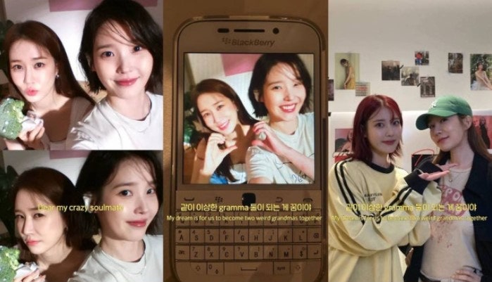 IU and Yoo In-na's Saju Compatibility