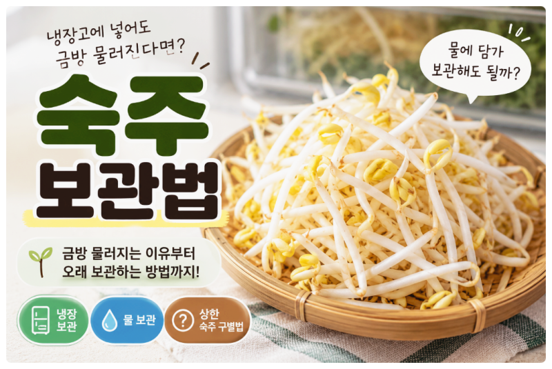 숙주 보관법｜냉장고에 넣어도 금방 물러지는 이유, 물에 담가 보관해도 될까?