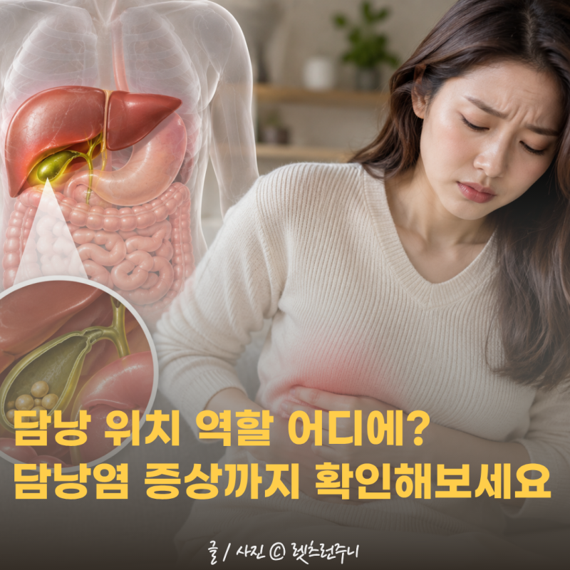담낭 위치 역할 어디에 있을까? 담낭염증상 함께 확인하세요