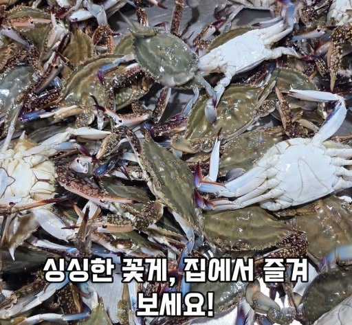 생물 활꽃게 손질법 완벽 가이드: 비린내 없이 찌개용, 게장용으로 손질하는 방법