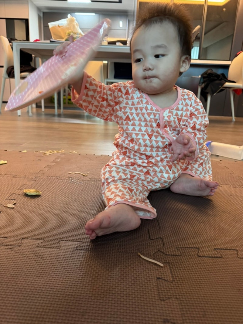로봇청소기 추천 로보락 삼성 비교 문턱 후기