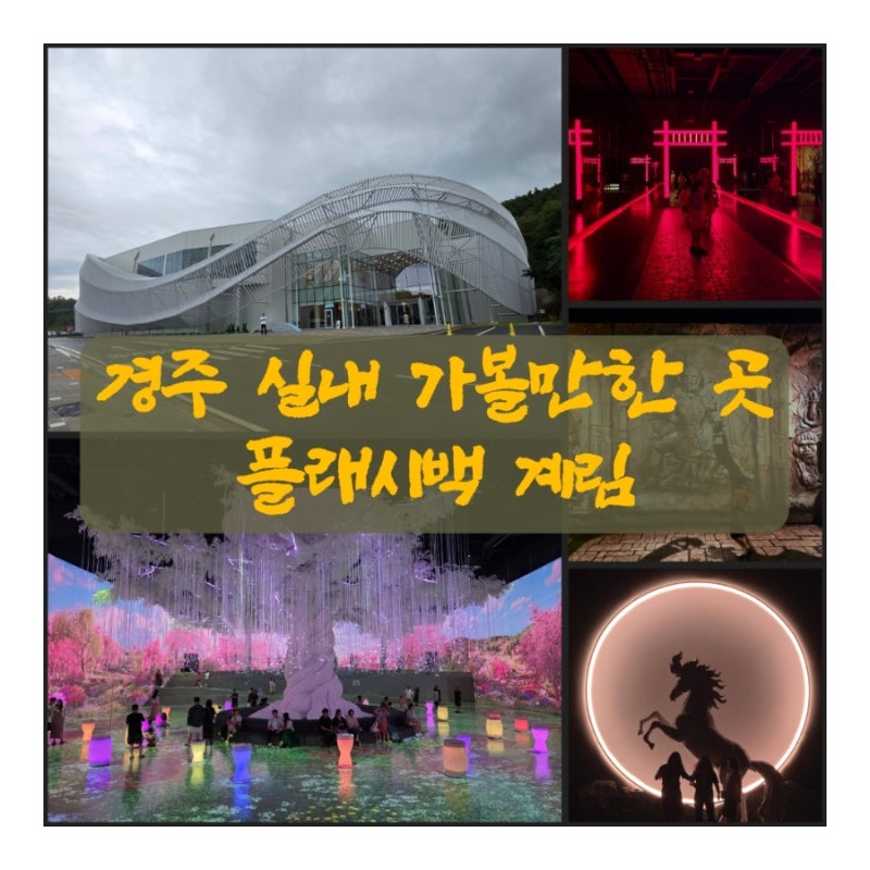 경주 실내 가볼만한 곳, 플래시백 계림, 미디어아트 관람후기, 입장료, 입장할인정보
