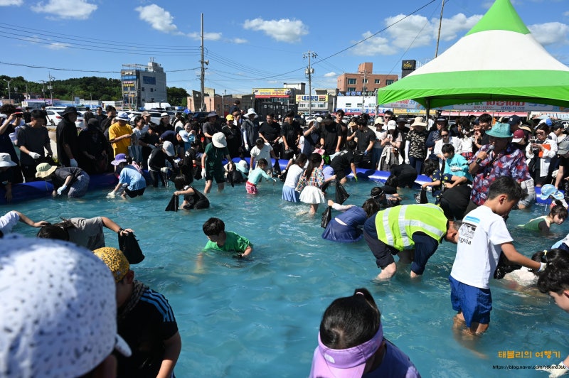 2026 홍성 남당항 대하축제 맨손잡기 체험 시간 가격 기본정보