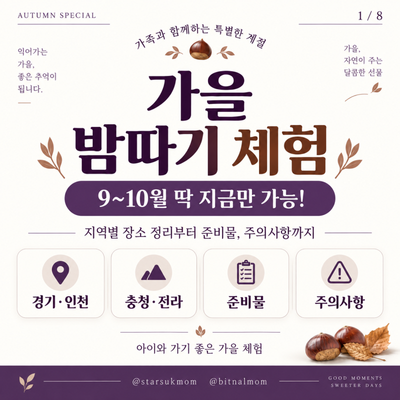 밤따기체험 9~10월 아이와 가볼만한 곳 경기도 시흥 파주 양평 강화 공주
