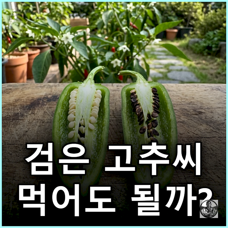"겉은 멀쩡한데 속이 까맣다" 고추씨 검게 변하는 원인과 구별법