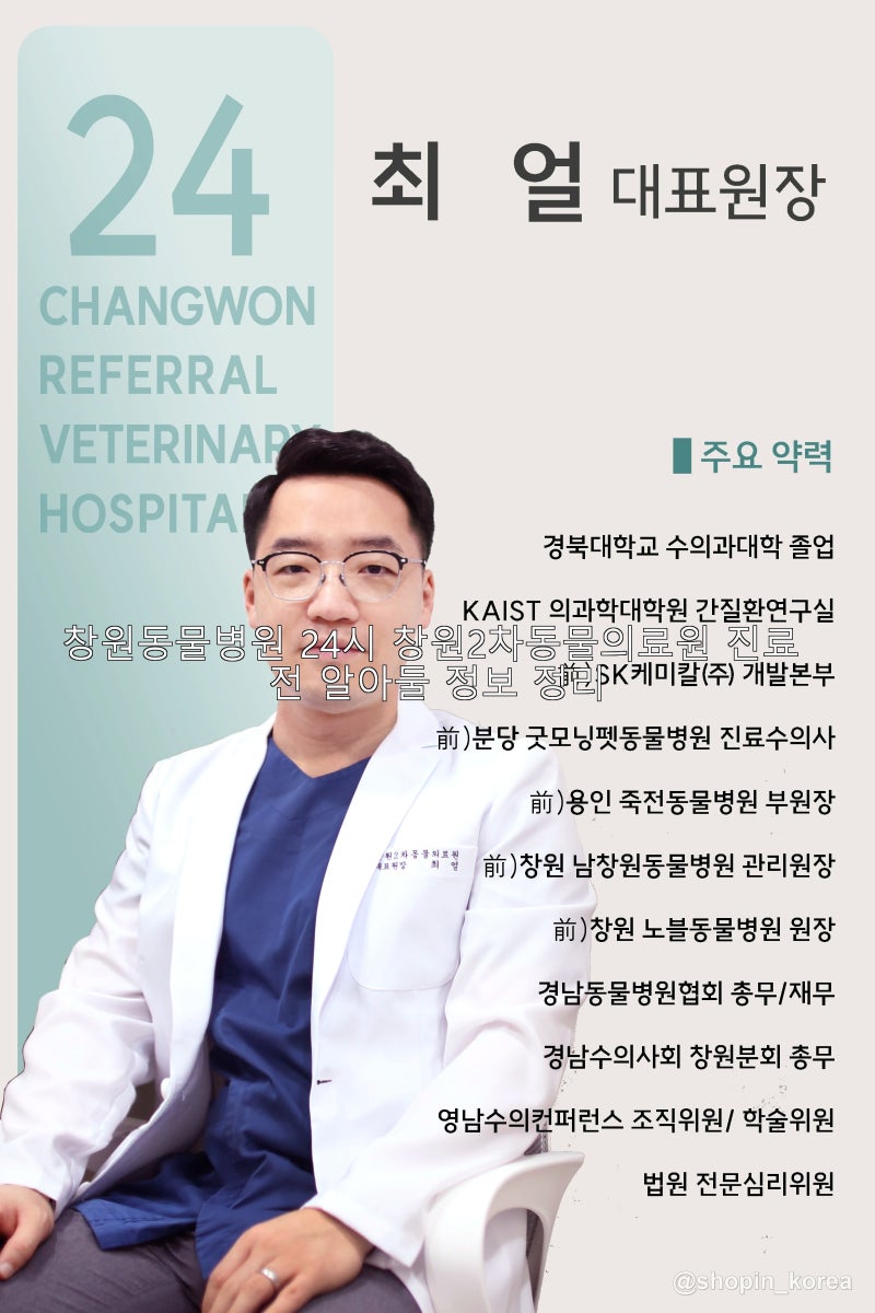 창원동물병원 24시 창원2차동물의료원 진료 전 알아둘 정보 정리
