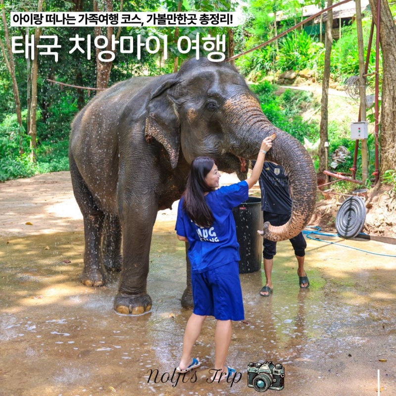 태국 치앙마이 여행 가족여행 코스 추천 아이랑 가볼만한곳