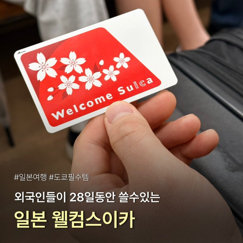 일본 도쿄여행 지하철 구매 아이폰 지갑에 추가하는 애플페이 스이카 vs 실물 스이카 (파스모....